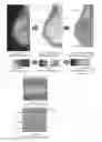 Fig. 13 - System and method for the visualization and characterization of objects in images