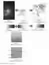 Fig. 15 - System and method for the visualization and characterization of objects in images