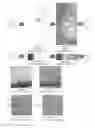 Fig. 18 - System and method for the visualization and characterization of objects in images