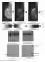 Fig. 24 - System and method for the visualization and characterization of objects in images