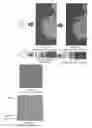 Fig. 26 - System and method for the visualization and characterization of objects in images