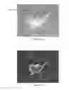 Fig. 29 - System and method for the visualization and characterization of objects in images