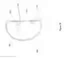 Fig. 30 - Vision system for a vehicle