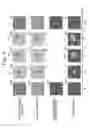 Fig. 08 - Video image encoding device, video image coding method, video image decoding device, video image decoding method, and non-transitory computer-readable storage medium