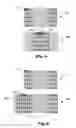 Fig. 07 - Method and Apparatus for Reference Picture Generation and Management in 3D Video Compression