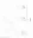Fig. 03 - Ear bud or dome