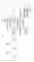 Fig. 03 - Communication terminal identification information identifying processing system