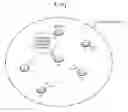 Fig. 01 - Location-specific data sharing
