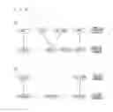 Fig. 06 - Communication system
