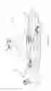 Fig. 07 - Wireless communications system and method for managing and optimizing a wireless communications network