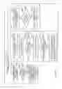 Fig. 13 - USER TERMINAL AND RADIO COMMUNICATION METHOD