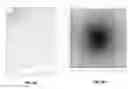 Fig. 06 - Method and apparatus for horticultural lighting with enhanced dimming and optimized efficiency