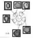Fig. 07 - HANGING PLANTER BASKET