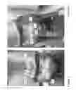 Fig. 02 - Animal training harness