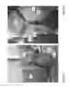 Fig. 03 - Animal training harness