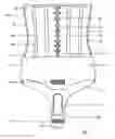 Fig. 01 - Half corset