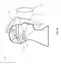 Fig. 03 - Method and apparatus for attaching a light to a head-worn device