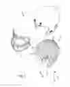 Fig. 03 - Helmet including magnetic suspension system