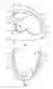Fig. 02 - Footwear heel spring device