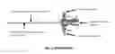 Fig. 02 - Retractable endoscopic suction tube