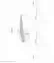 Fig. 06 - Pulse wave measuring apparatus and pulse wave measuring method