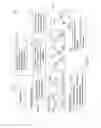 Fig. 08 - Early detection of reduced bone formation with an NMR scanner