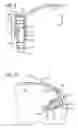 Fig. 09 - Knotless suture anchor for soft tissue repair and method of use