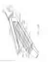 Fig. 197 - Surgical end effector