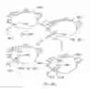 Fig. 14 - Methods and systems for the manipulation of ovarian tissues