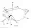 Fig. 30 - Methods and systems for the manipulation of ovarian tissues