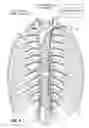 Fig. 09 - Devices and methods for treatment of heart failure by splanchnic nerve ablation