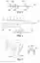 Fig. 04 - Dental appliances with shaped material components