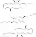 Fig. 258 - Compositions and methods relating to salts of specialized pro-resolving mediators