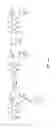 Fig. 02 - Anthracycline prodrugs and methods of making and using the same
