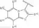 Fig. 101 - 4,6-pyrimidinylene derivatives and uses thereof