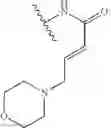 Fig. 258 - 4,6-pyrimidinylene derivatives and uses thereof
