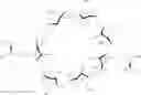 Fig. 131 - CYCLODEXTRIN-BASED POLYMERS FOR THERAPEUTIC DELIVERY