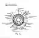 Fig. 09 - COMPOSITIONS AND METHODS FOR DETECTING AND TREATING PERIODONTAL DISEASE