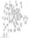 Fig. 20 - COMPOSITIONS AND METHODS FOR DETECTING AND TREATING PERIODONTAL DISEASE
