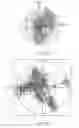 Fig. 35 - COMPOSITIONS AND METHODS FOR DETECTING AND TREATING PERIODONTAL DISEASE
