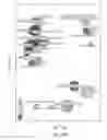 Fig. 37 - COMPOSITIONS AND METHODS FOR DETECTING AND TREATING PERIODONTAL DISEASE