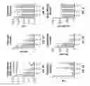 Fig. 07 - CLEC11a is a bone growth agent