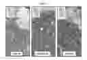 Fig. 02 - Method of treating androgen receptor negative prostate tumors and their metastases
