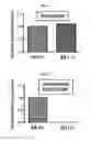Fig. 06 - Method of treating androgen receptor negative prostate tumors and their metastases