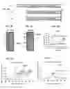 Fig. 02 - Immunogenic RSV polypeptides