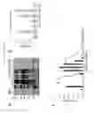 Fig. 03 - Vaccine Adjuvant