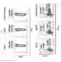 Fig. 21 - Vaccine Adjuvant