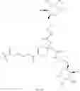 Fig. 24 - GLUCOSE-RESPONSIVE INSULIN CONJUGATES