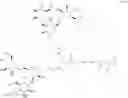 Fig. 43 - GLUCOSE-RESPONSIVE INSULIN CONJUGATES