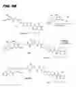 Fig. 08 - Antiproliferative compounds and conjugates made therefrom